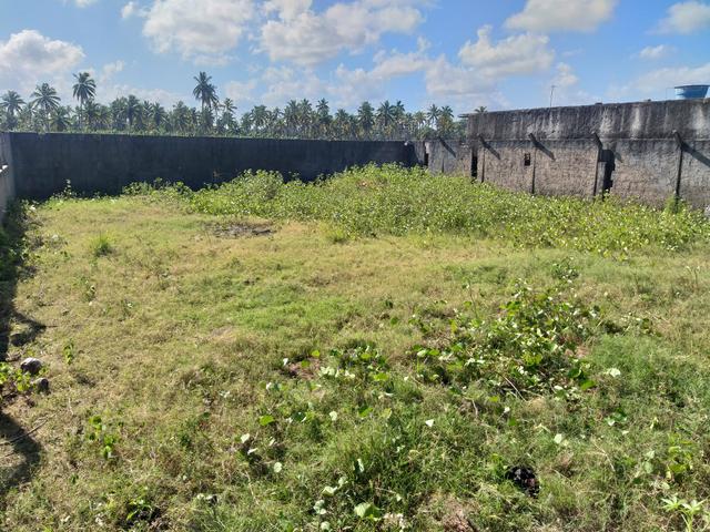 Terreno na praia de São José da coroa grande - Foto 3