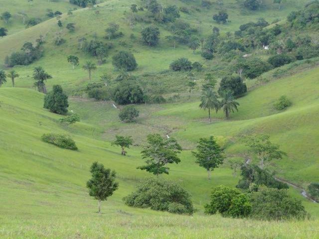 Maravilhosa oportunidade fazenda em maragogipe 120ta - Foto 8