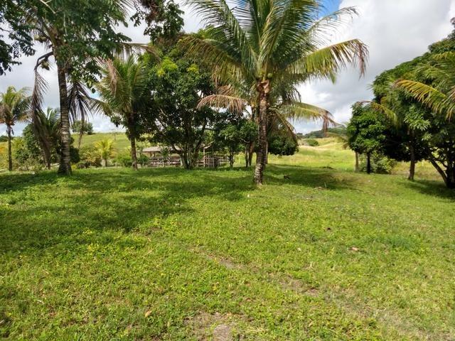 9 hectares nas Margens da BR 232 a 25 km de Recife PE - Foto 4