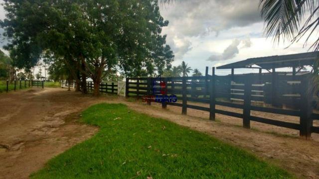 Sítio à venda, por R$ 2.775.000 - Zona Rural - Teixeirópolis/RO - Foto 2