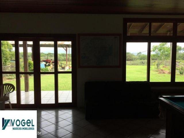 Sítio à venda em Lomba grande, Novo hamburgo cod:32011428 - Foto 8