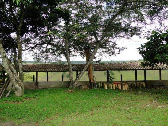 Maravilhosa oportunidade fazenda em maragogipe 120ta - Foto 13