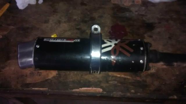 Vendo coiote boca 8 pra vender logo