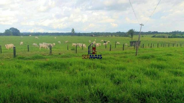 Sítio à venda, por R$ 2.775.000 - Zona Rural - Teixeirópolis/RO - Foto 9