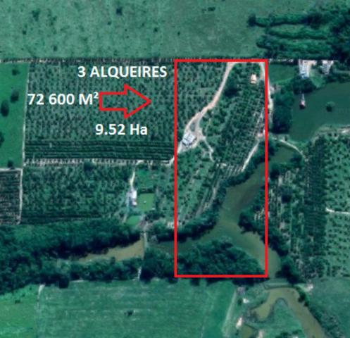 Chácara 3 Alqueires (72600m²) - Foto 2