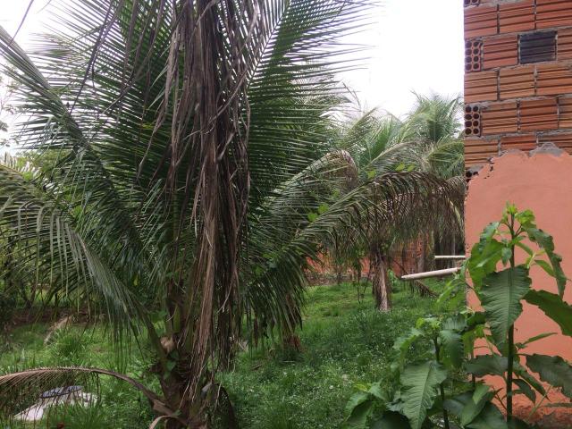 Vende-se chácara no bairro Floresta - Foto 6