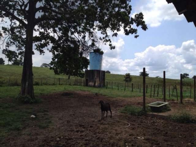 OPORTUNIDADE FAZENDA 116 TAREFAS - Foto 20