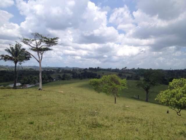 OPORTUNIDADE FAZENDA 116 TAREFAS - Foto 17