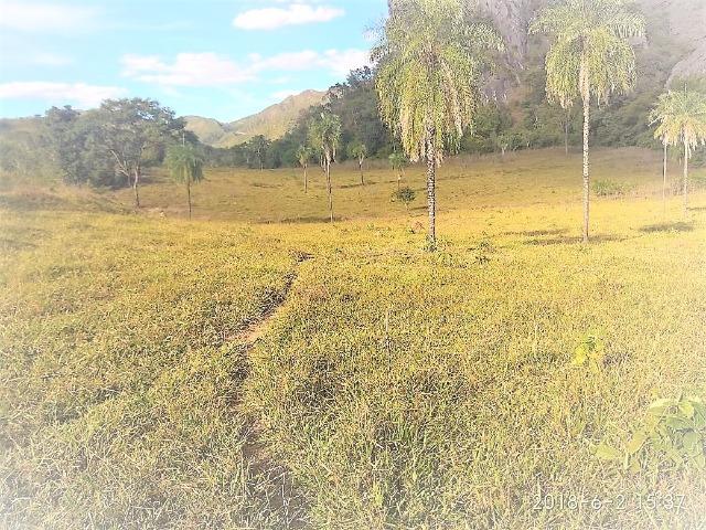 Fazenda com 25 alqueires com casa sede casa de caseiro Niquelândia goiás - Foto 14
