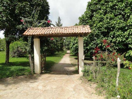 Maravilhosa oportunidade fazenda em maragogipe 120ta - Foto 10