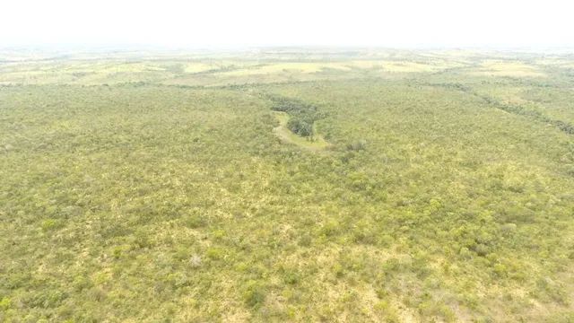 Fazenda em Rio Sono. Irrigação. - Foto 2