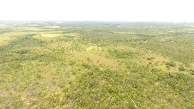 Fazenda em Rio Sono. Irrigação.
