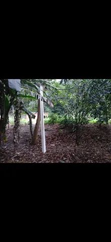 Vendo casa e m Domingos Martins com terreno grande, pouco mais de 4700 mts  - Foto 5