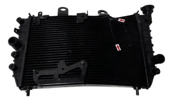 Radiador Harley Davidson Sportster S 22/23 P/recuperar 45092