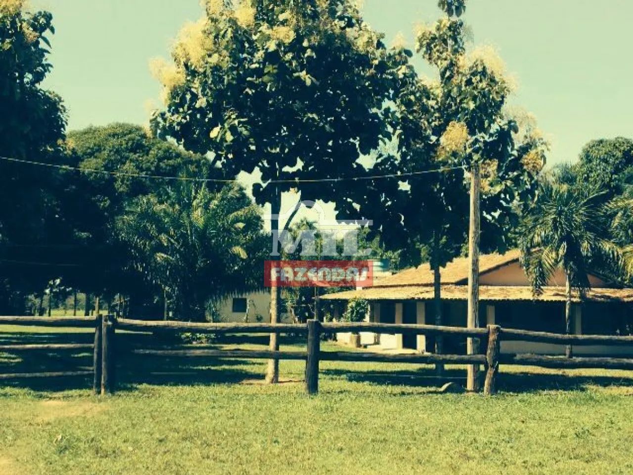 Fazenda Beira Tocantins 1.000 Alq. (4.840 Há). p/ Soja