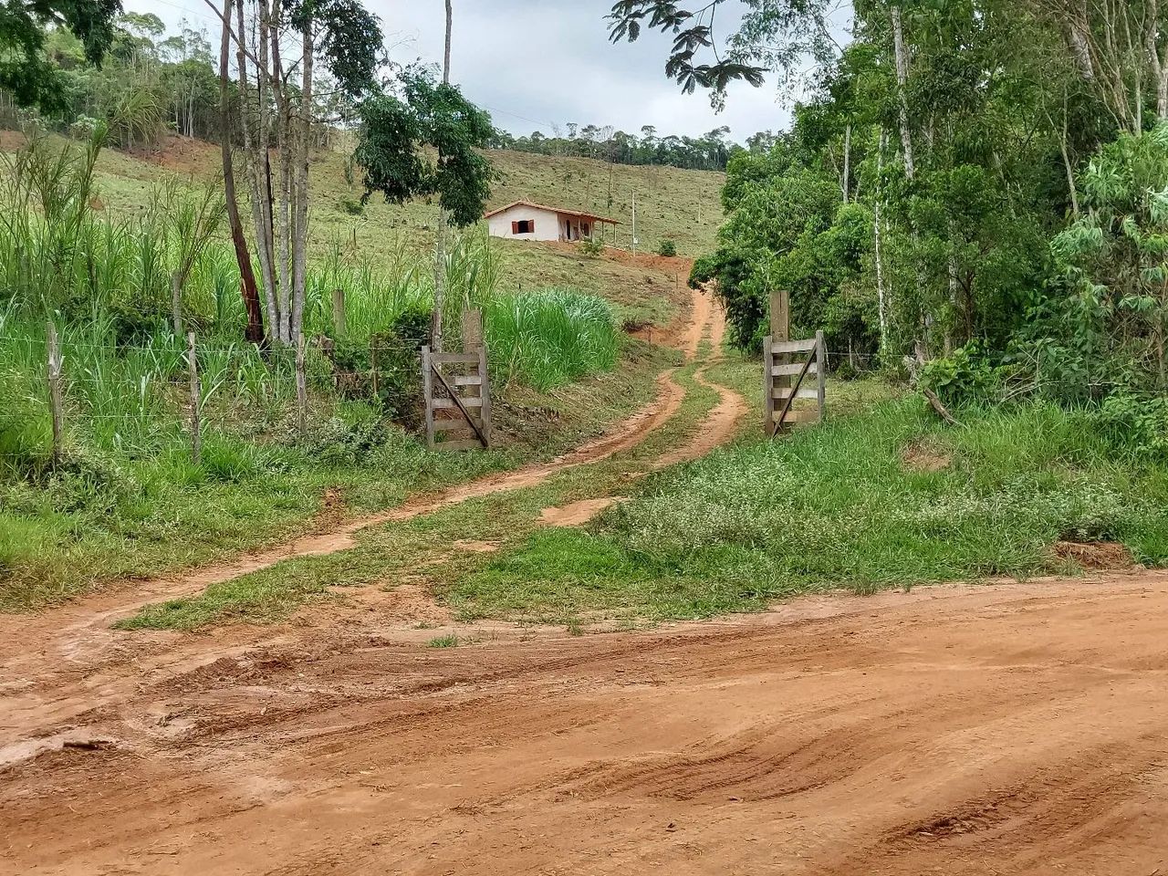 foto - Juiz de Fora - Centro