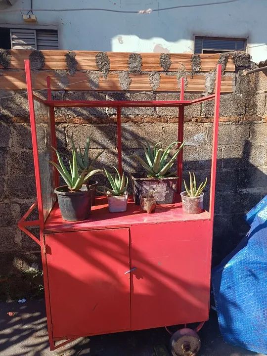 Carrinho de mão para vendas 