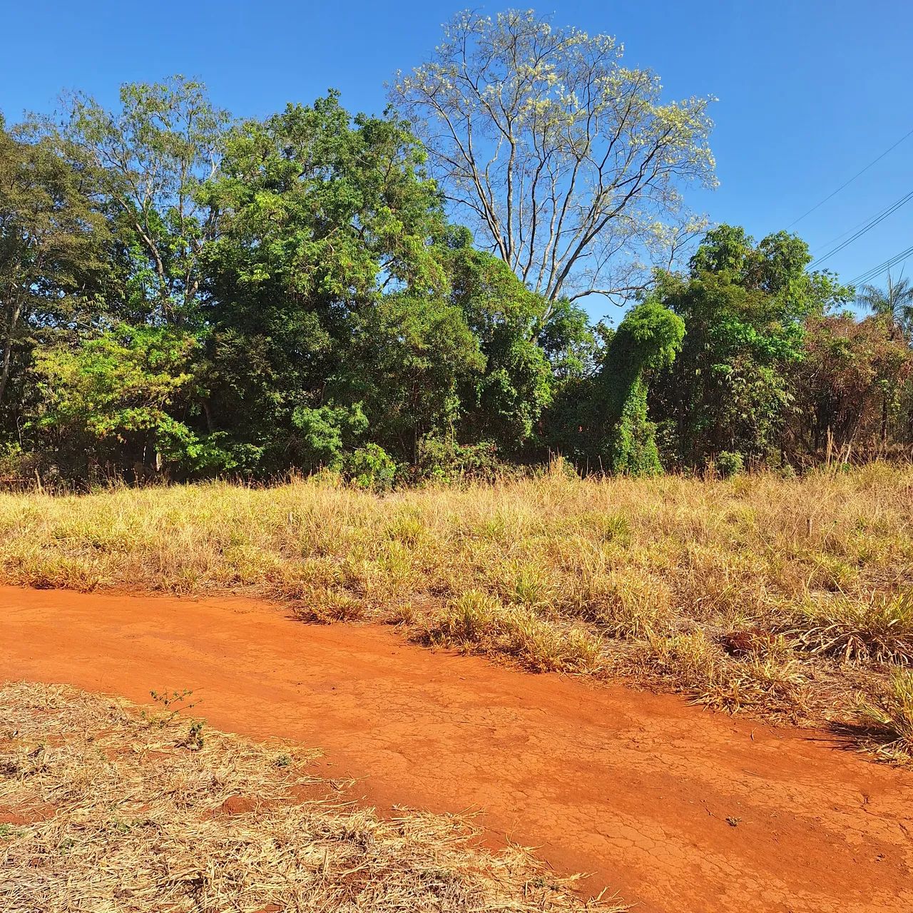 foto - Goiânia - Área Rural de Goiânia