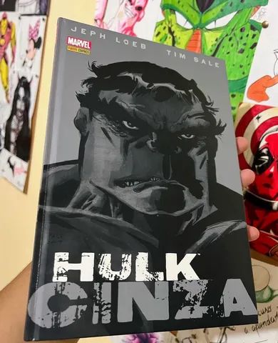 Hulk cinza capa dura nova