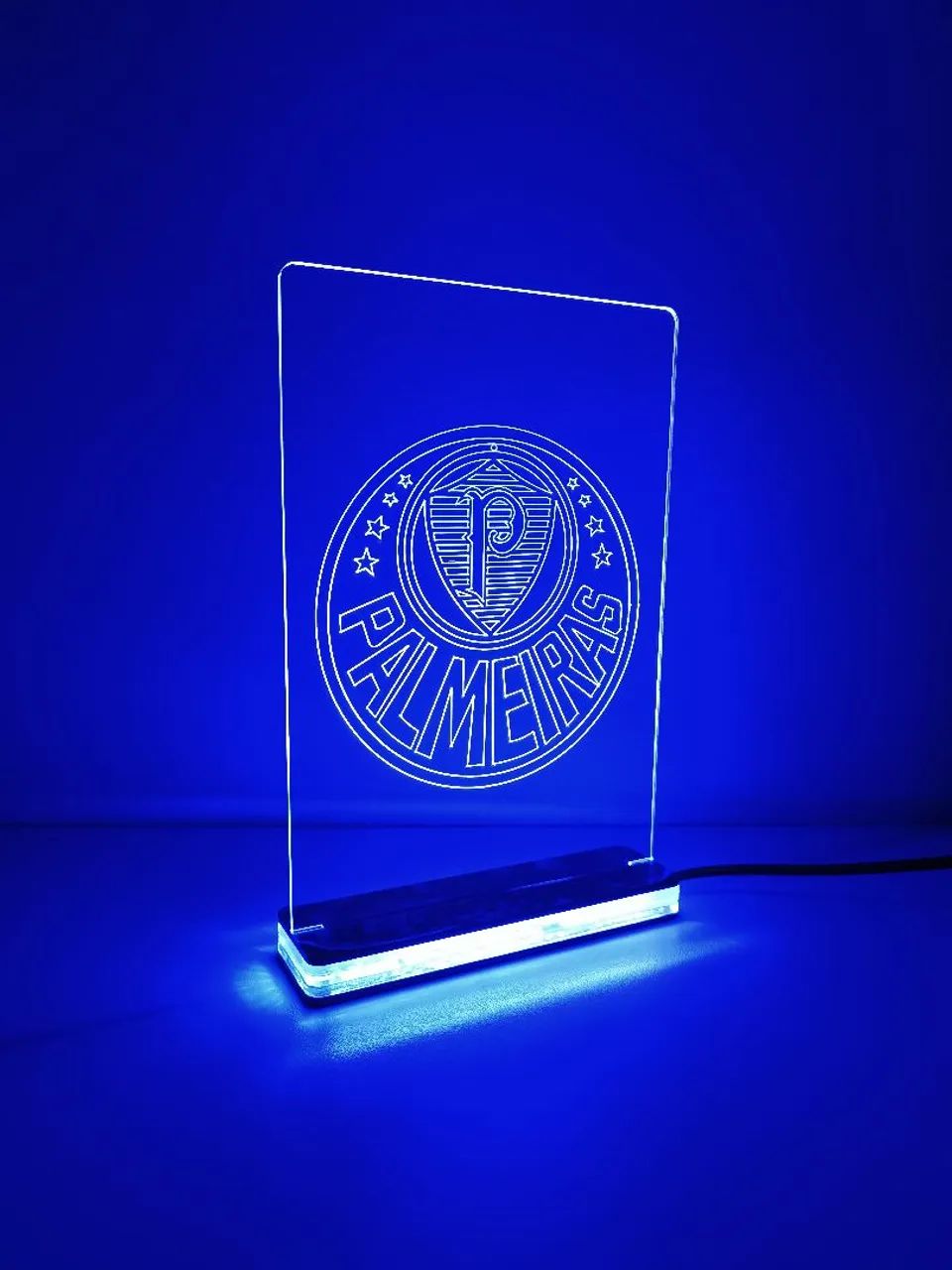 Luminária Palmeiras - LED - Foto 2