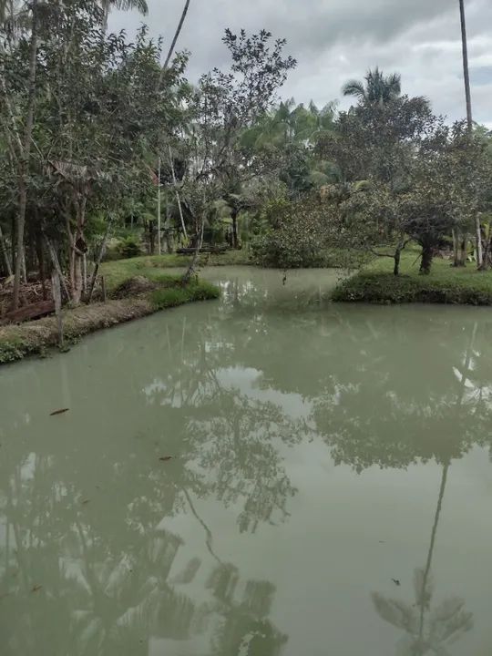 Sítio em Aurora do Pará com 11.000 metros quadrados. - Foto 2