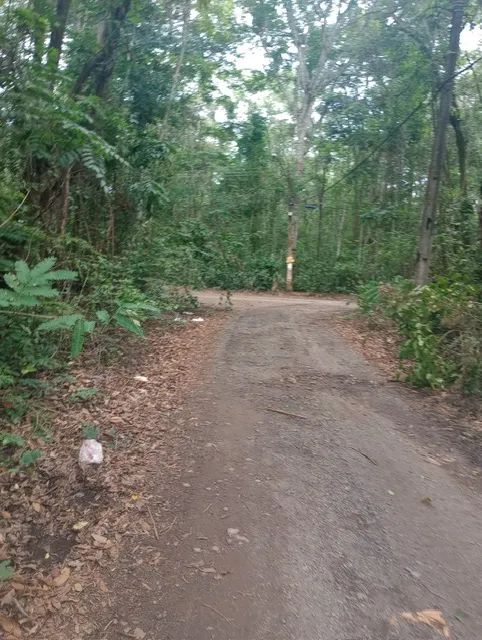 Chácara para venda com 2.257 metros quadrados - Rua Jandaia, Chácaras de Recreio Samambaia - Foto 2