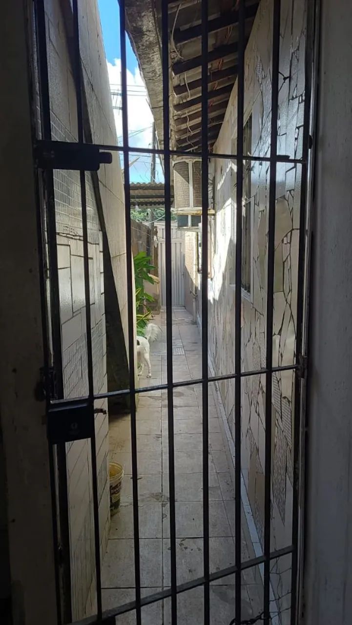 Foto - Recife - Nova Descoberta