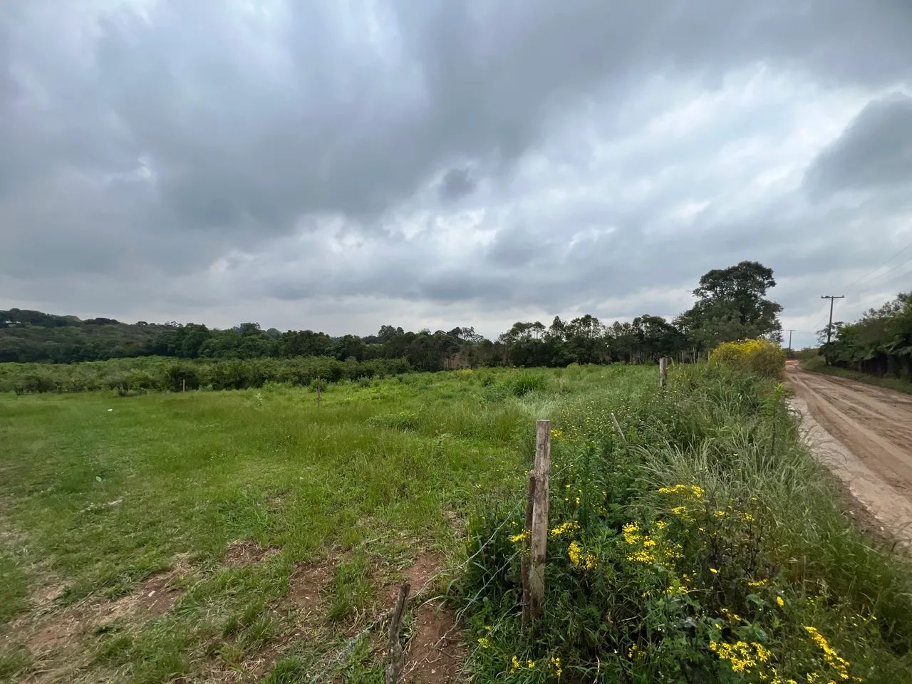 Vendo Chácaras - Fazenda Rio Grande - Foto 4