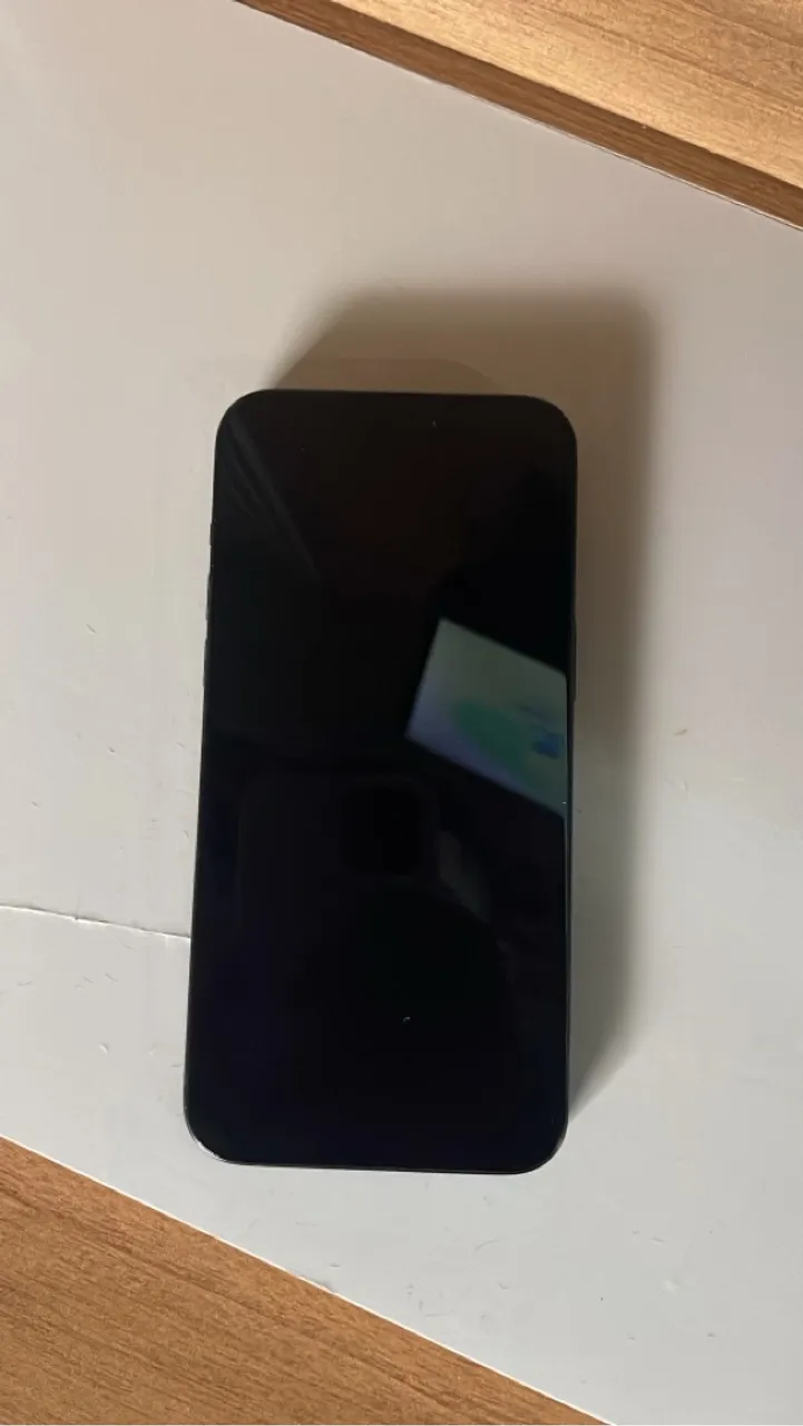 iPhone 15 por max
