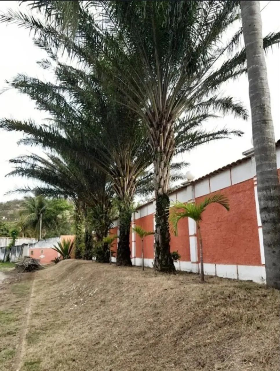 Foto - Rio de Janeiro - Guaratiba