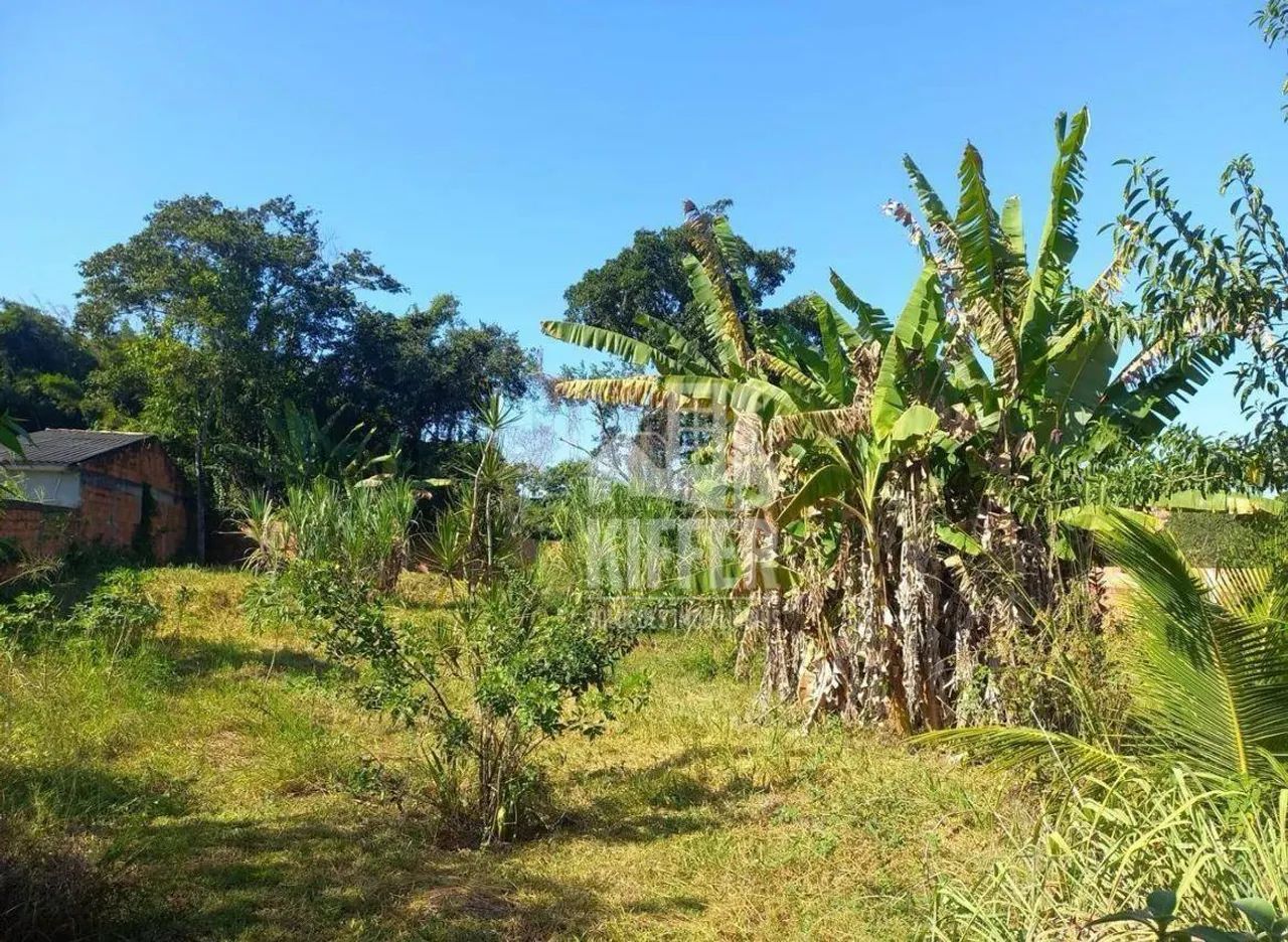 Sítio em Itaipuaçu com 3.000 m², Pomar e Energia Instalada - Foto 3