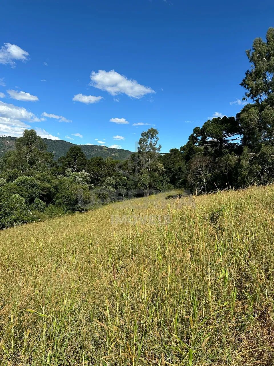 Chácara 2 Hectares de Alto Padrão com Vista - Foto 5