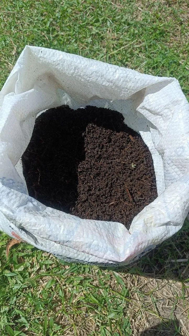 Esterco Bovino Curtido 20kg - Adubo Orgânico - Foto 4