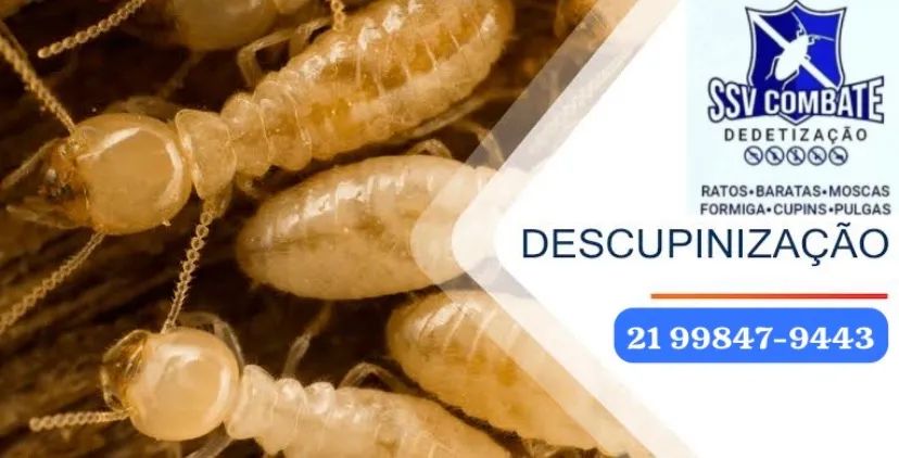 Descupinização serviço contra cupim 