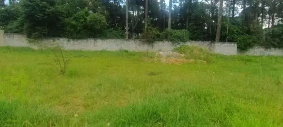 Terreno à venda, GRALHA AZUL , FAZENDA RIO GRANDE - PR - Foto 4