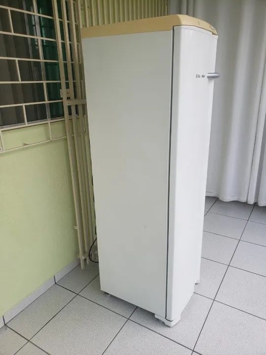 *Barato Freezer Vertical Electrolux FE 26 110 Volts Usado Entrego e Aceito Cartão  - Foto 3