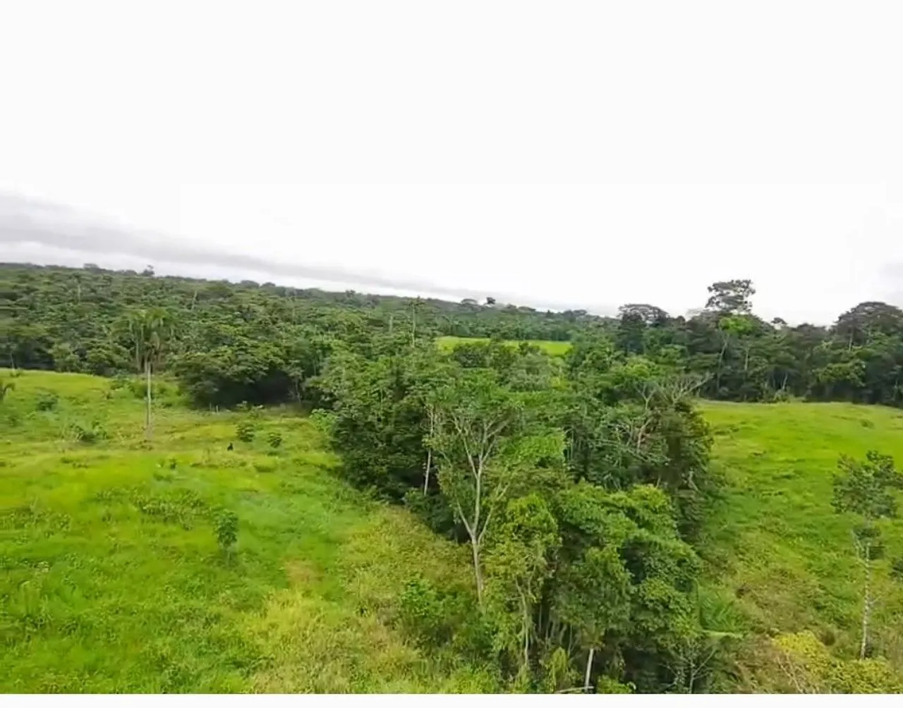 Terra à venda em Feijó.