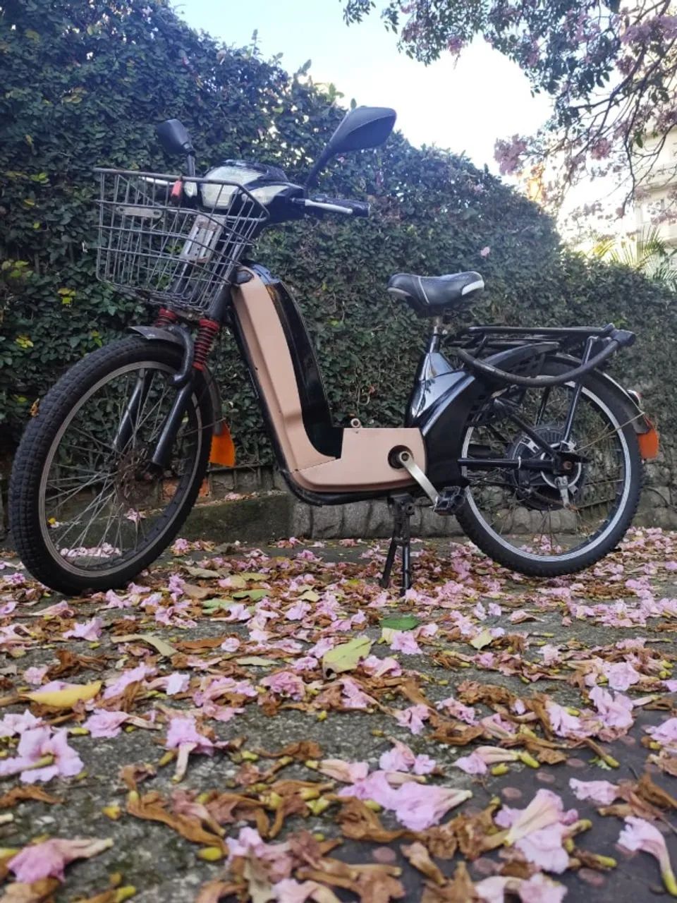 Bicicleta Elétrica - Foto 5