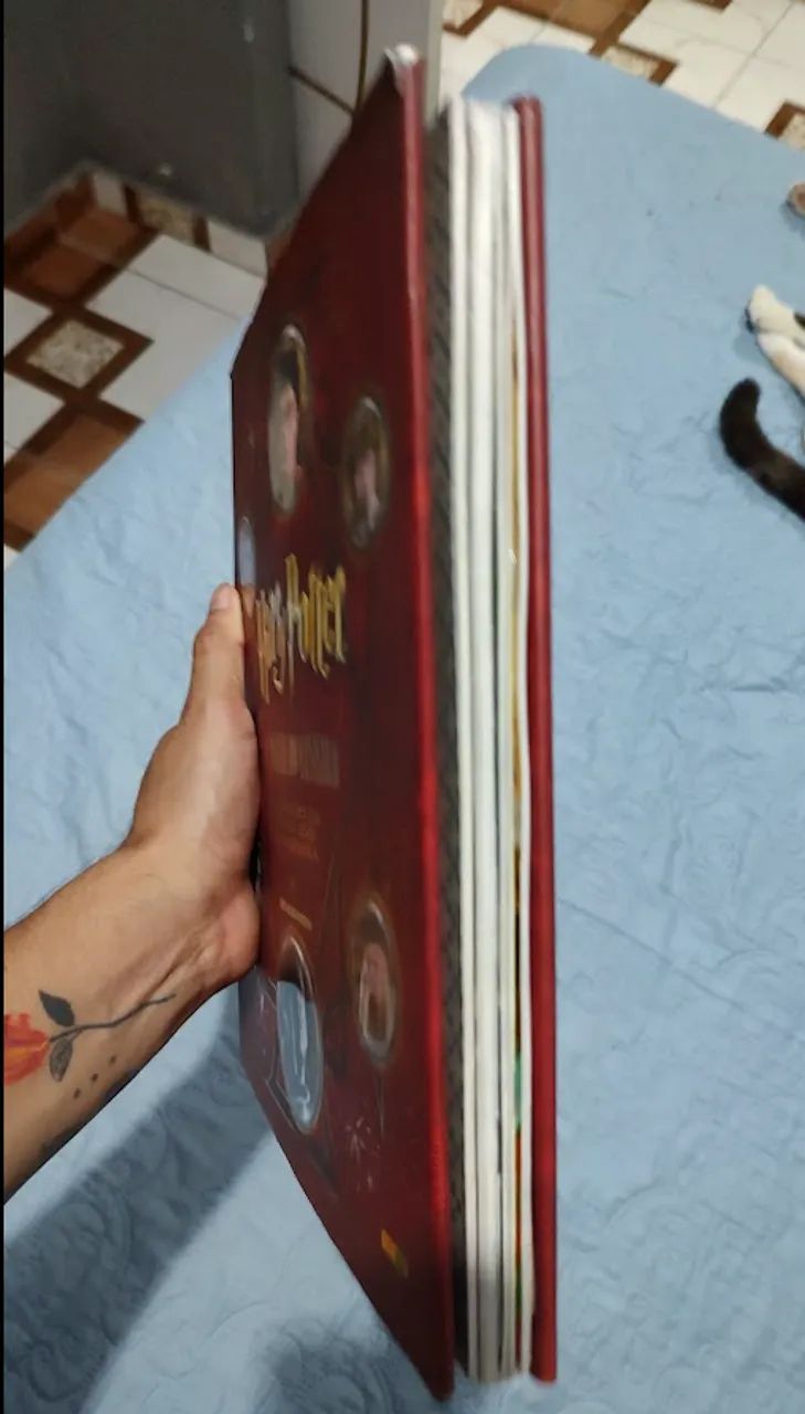 Harry Potter a Magia do cinema - Foto 2