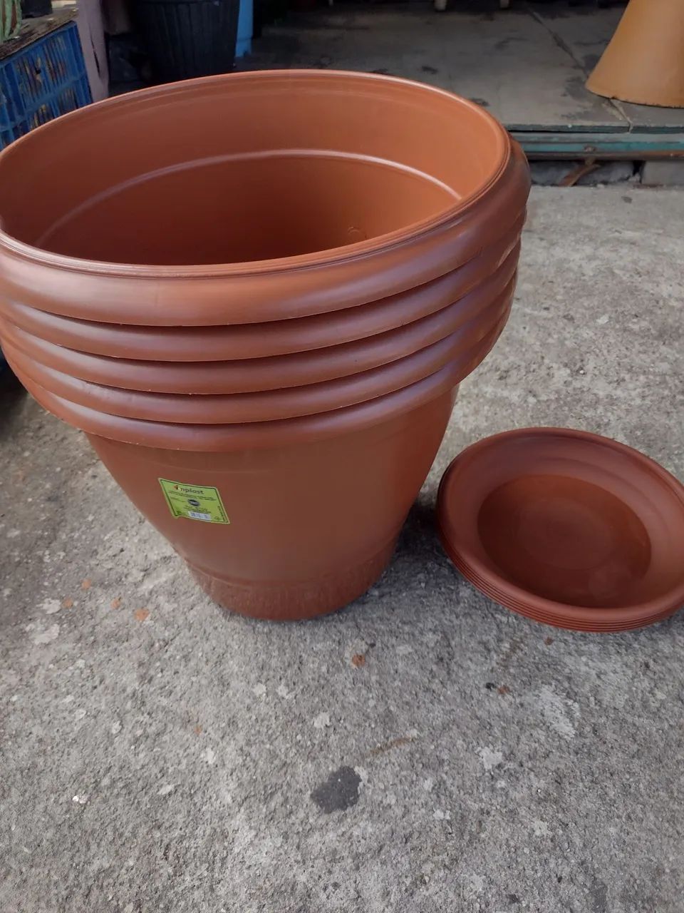 Vasos plástico com prato 