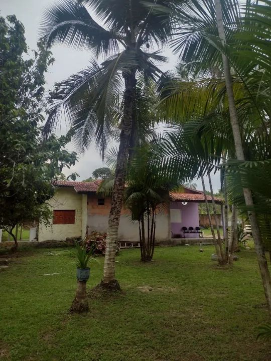 Sítio em Aurora do Pará com 11.000 metros quadrados. - Foto 8