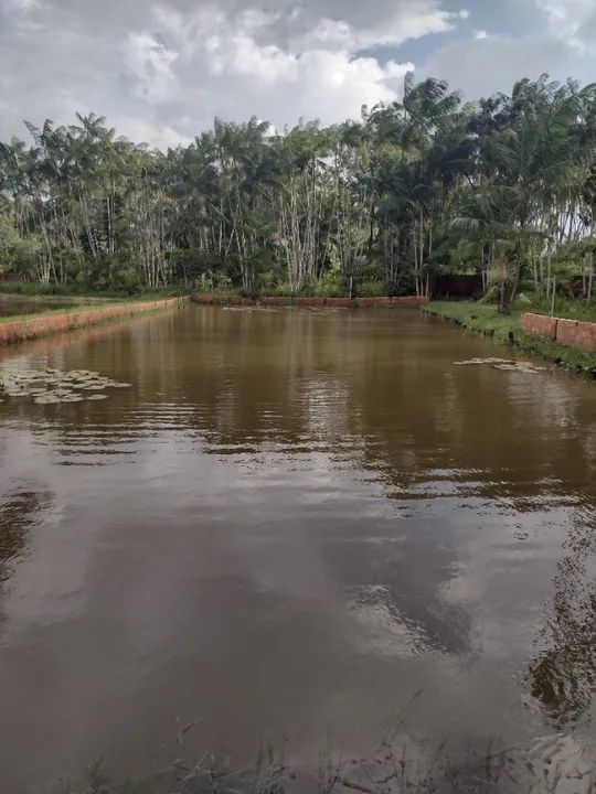 Sítio em Aurora do Pará com 11.000 metros quadrados. - Foto 10