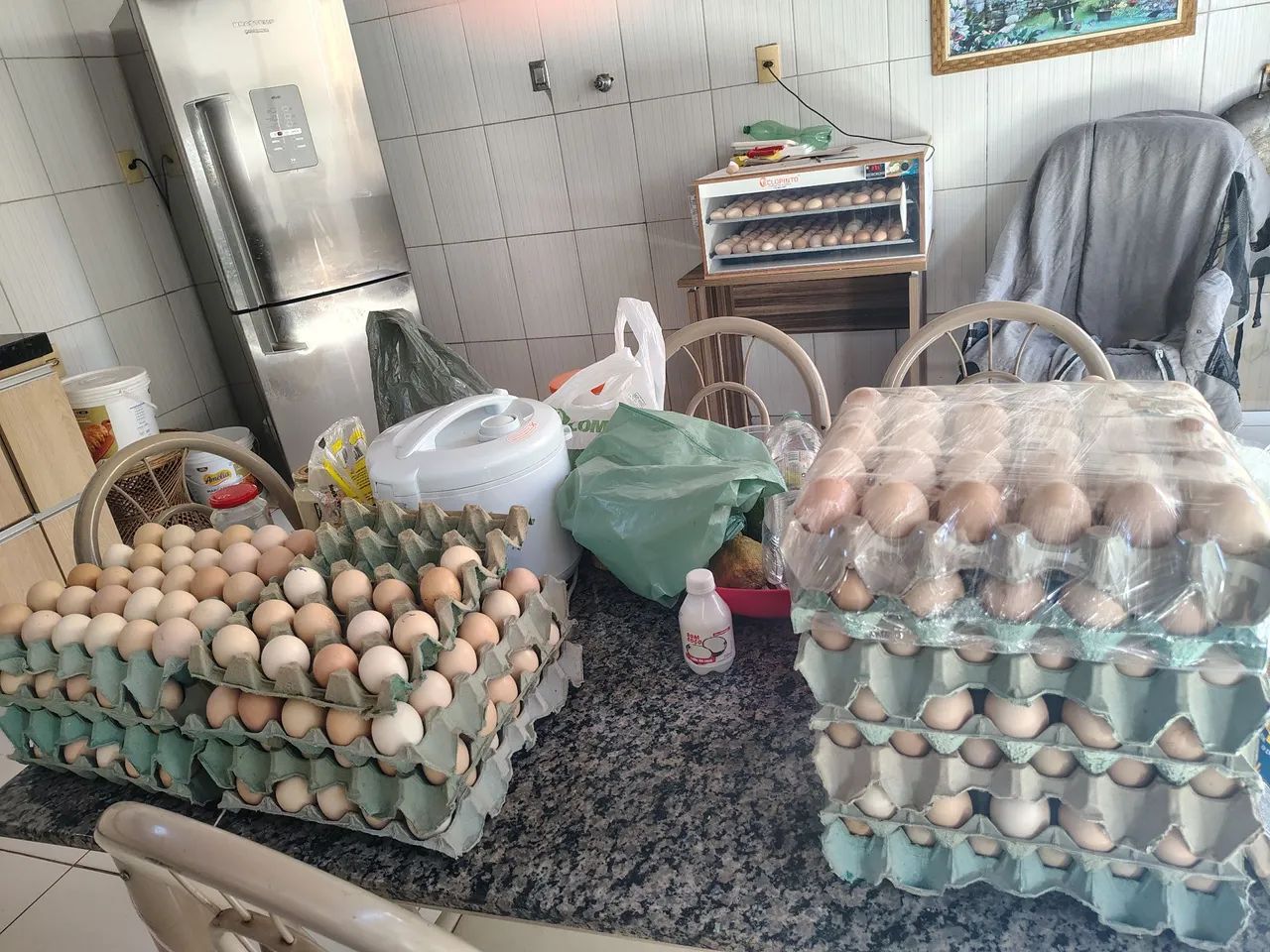 Ovos Caipira Frescos - Direto do Produtor - Foto 2