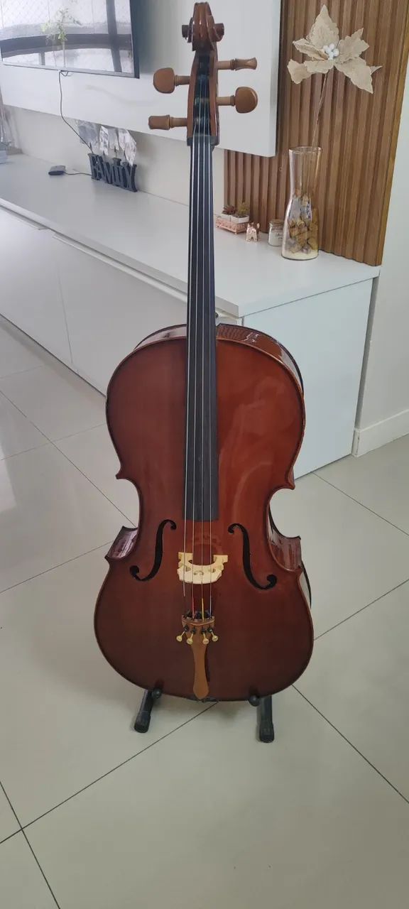 Violoncelo Eagle CE 200 regulado ótima sonoridade