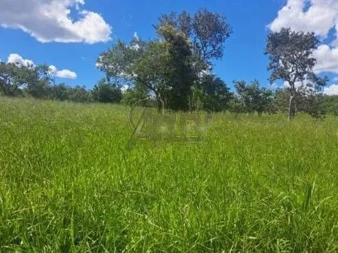 Negociando  - Foto 9