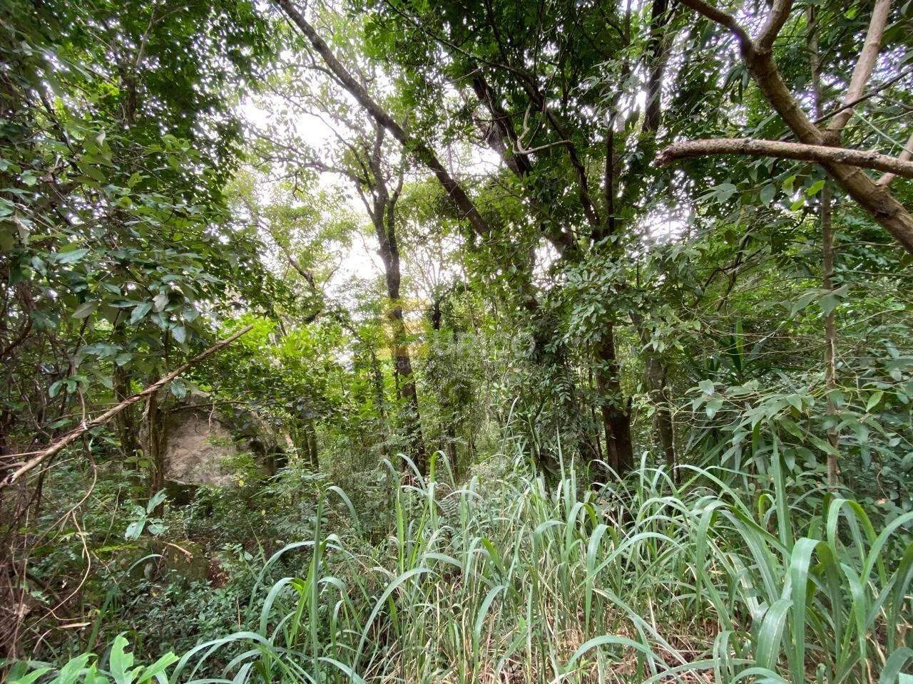 Terreno a venda no Condomínio Vale de Santa fé - Vinhedo - Foto 6