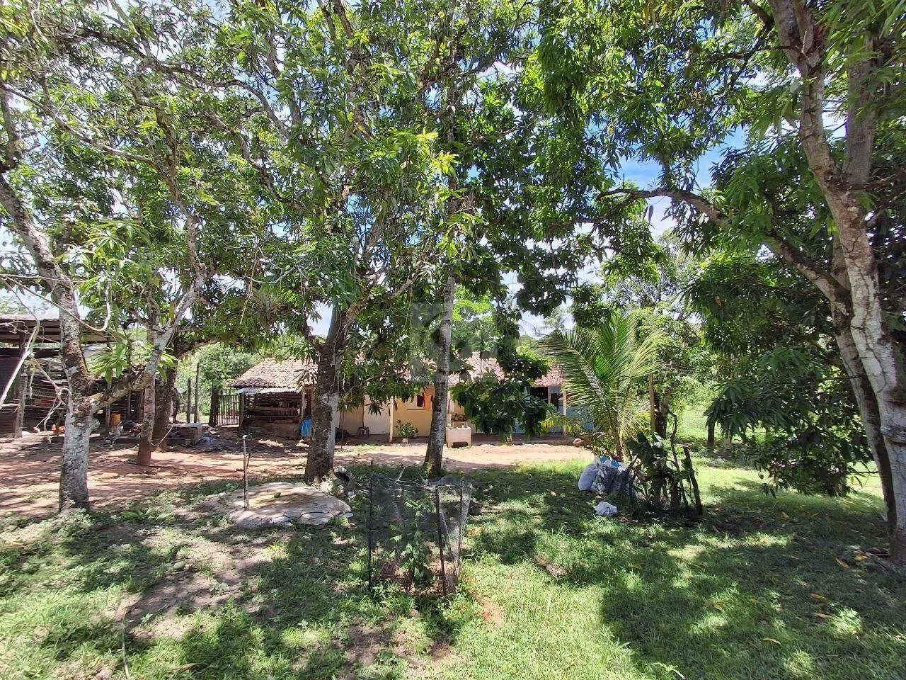 Sítio Para Venda no Povoado Carlos Torres, Salgado, Sergipe - Foto 5