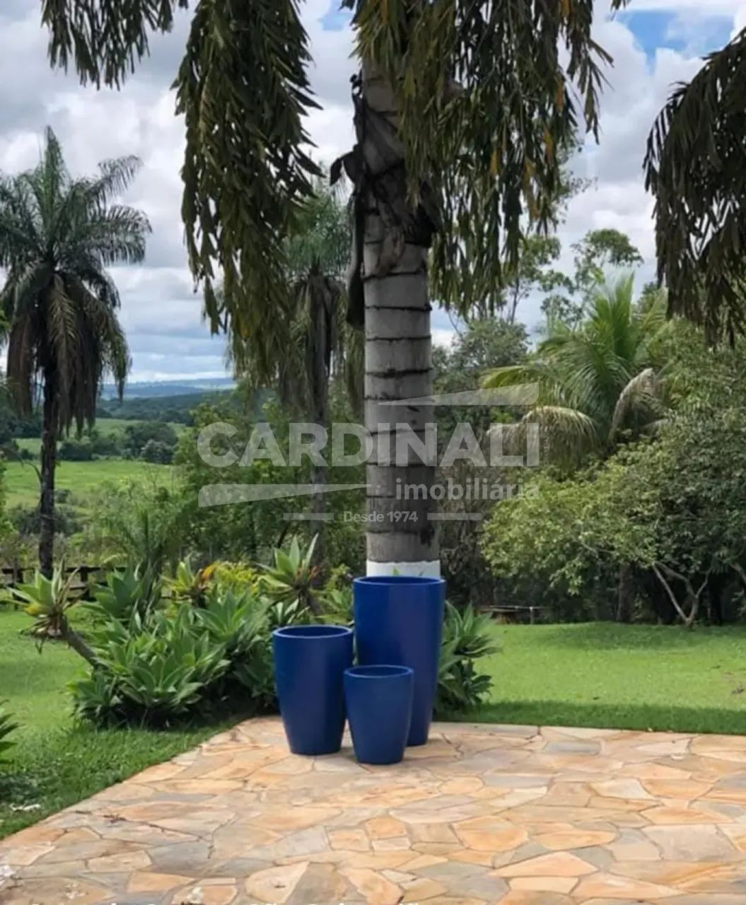 CHÁCARA À VENDA - Foto 4