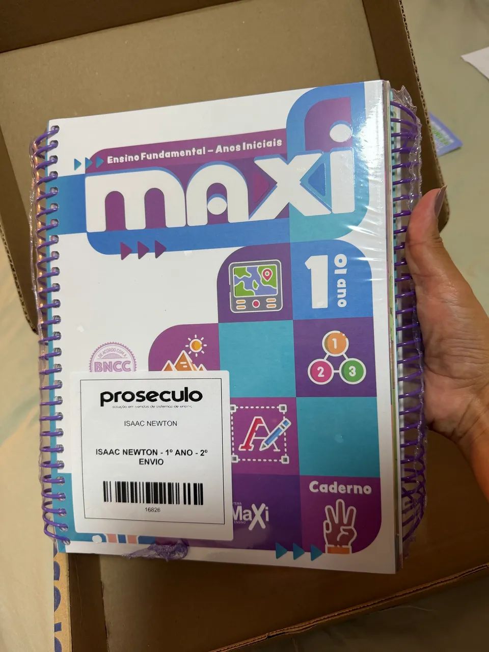 Livro Maxi ( pro século ) 1 ano 