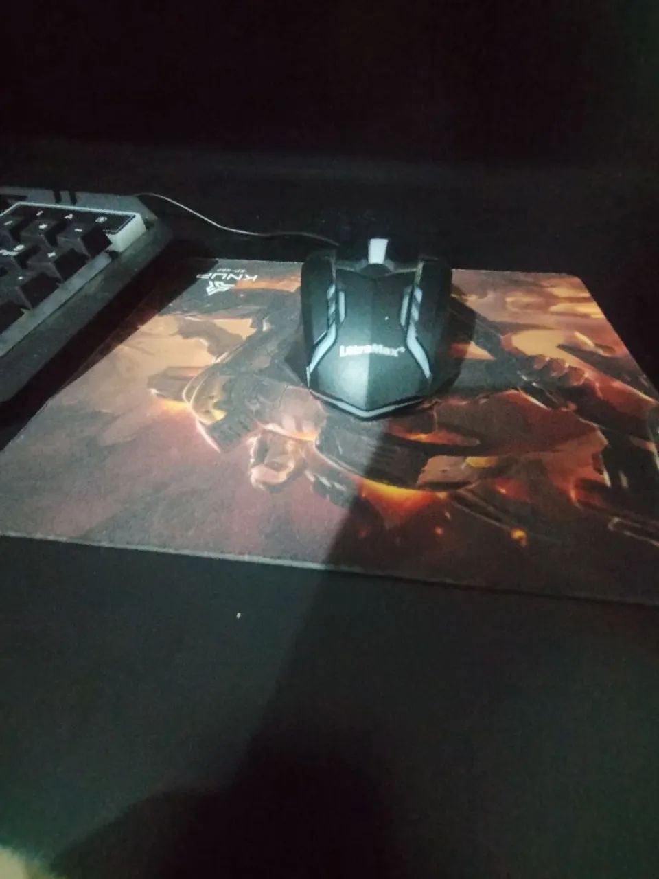 Mouse